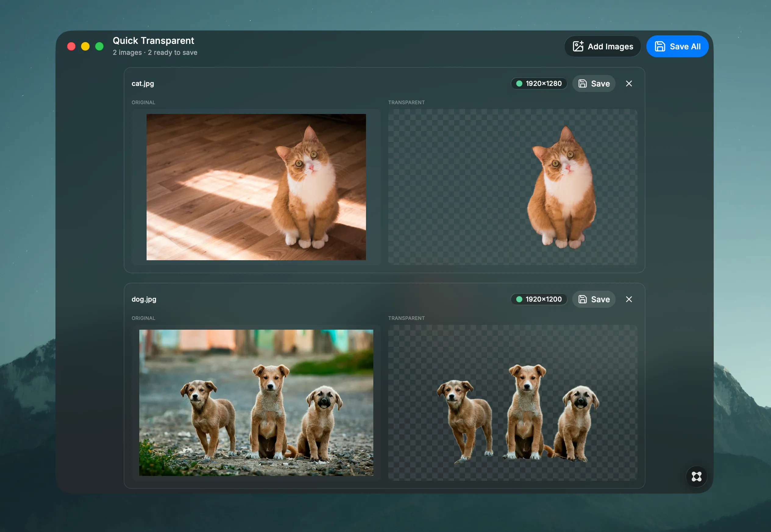Quick Transparent で動物の画像を背景透過した結果。オリジナルと透過後を並べて比較表示